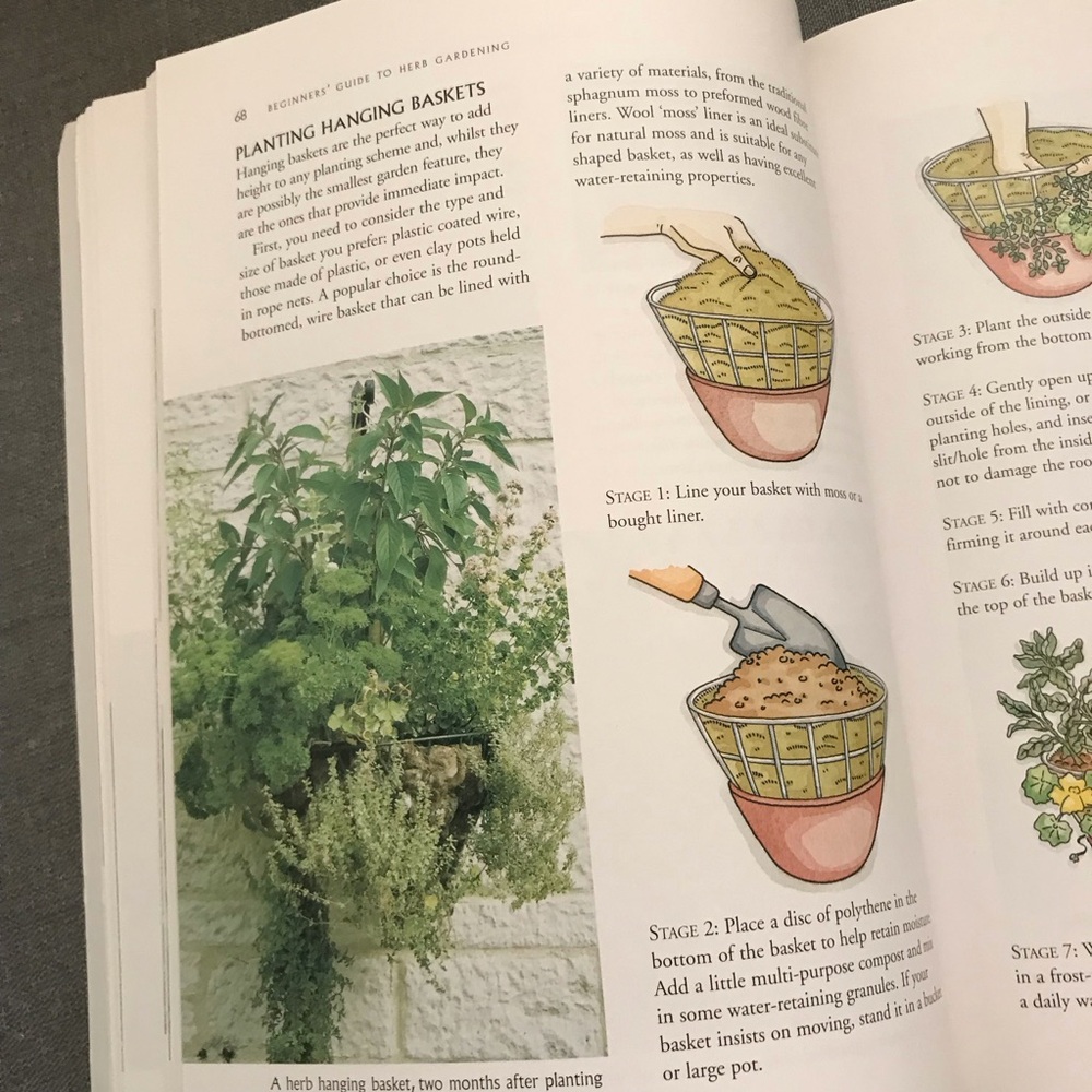 Beginners' Guide to Herb Gardening Book - Picture 2 of 8